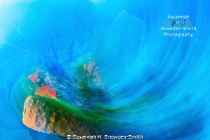 "Sweep And Swirl"

Sponges and gorgonians swirl. I phot... by Susannah H. Snowden-Smith 